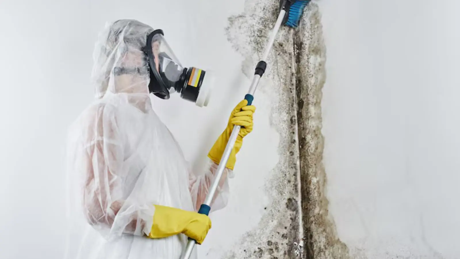Remediation worker in a protective suit and respirator scrubbing a moldy wall with a long-handled brush