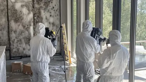 Three specialists in white protective suits inspecting a moldy wall with a camera
